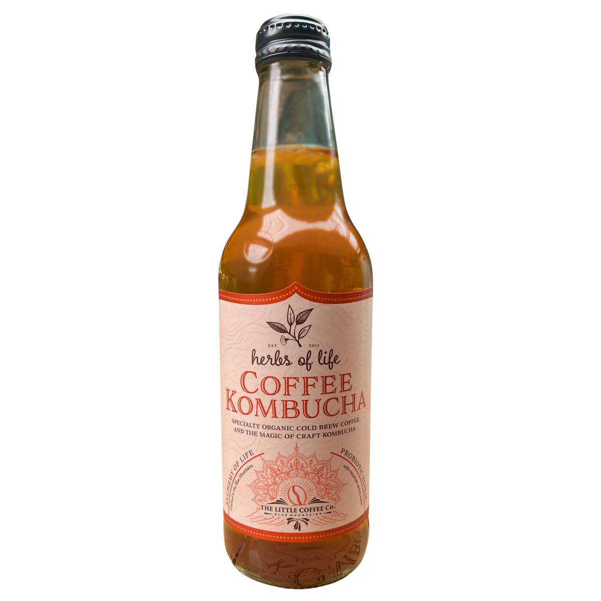 Herbs of Life Organic & Raw Kombucha - Mixed Carton