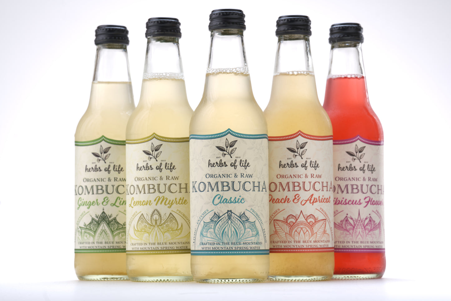Herbs of Life Organic & Raw Kombucha - Mixed Carton
