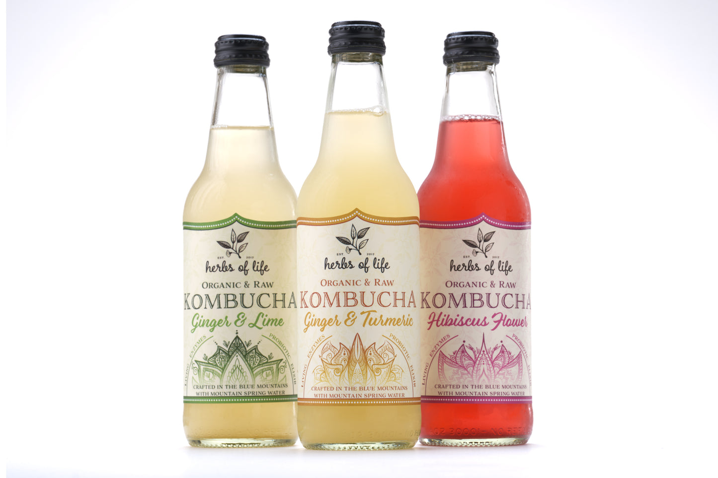 Herbs of Life Organic & Raw Kombucha - Mixed Carton