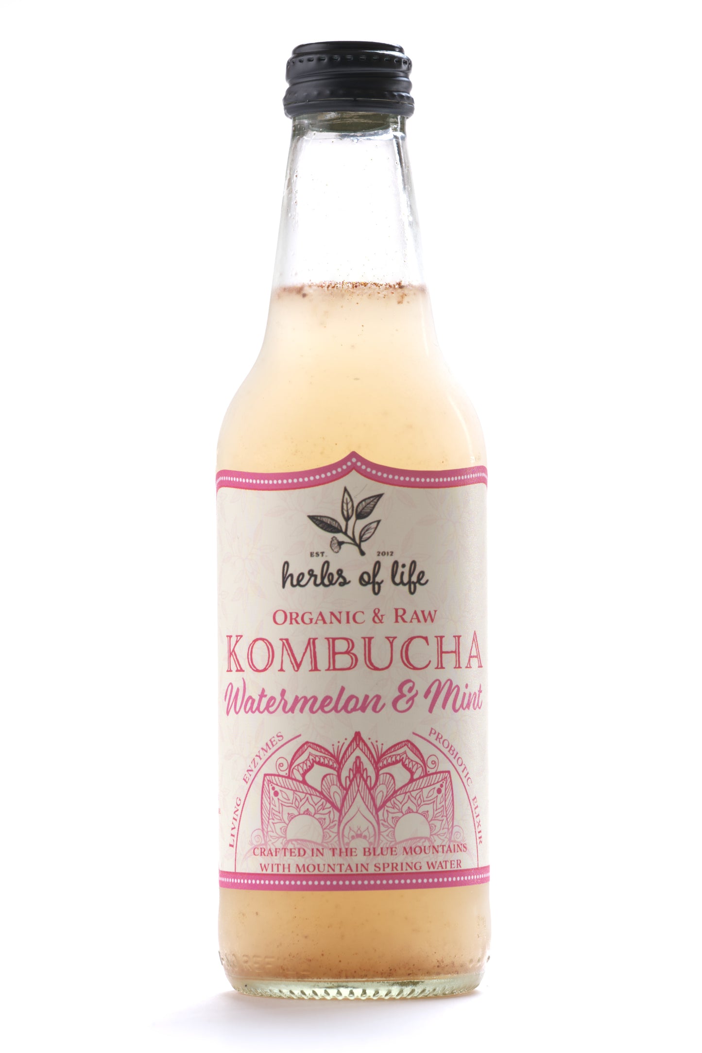 Herbs of Life Organic & Raw Kombucha - Watermelon Mint