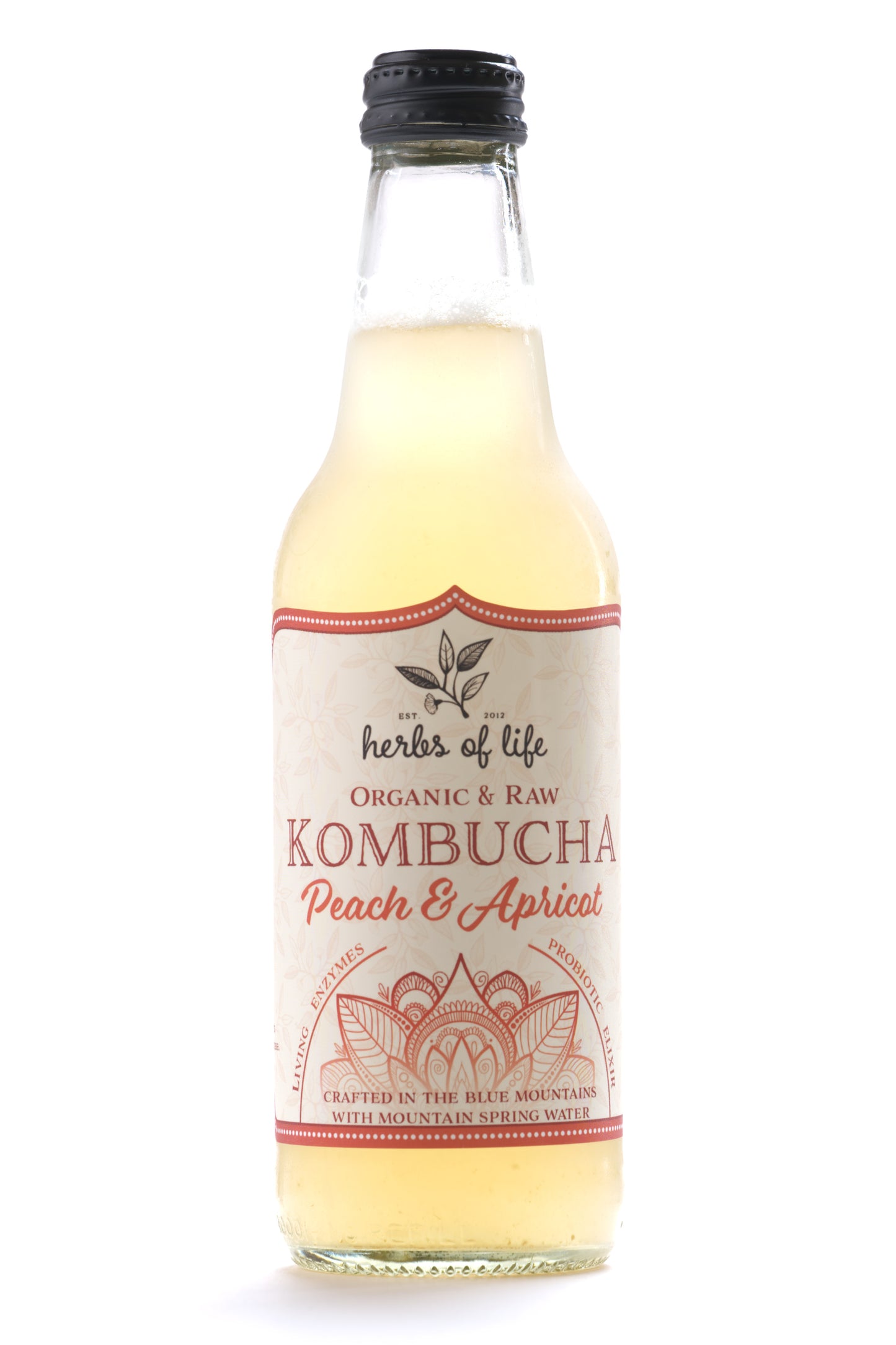 Herbs of Life Organic & Raw Kombucha - Peach & Apricot