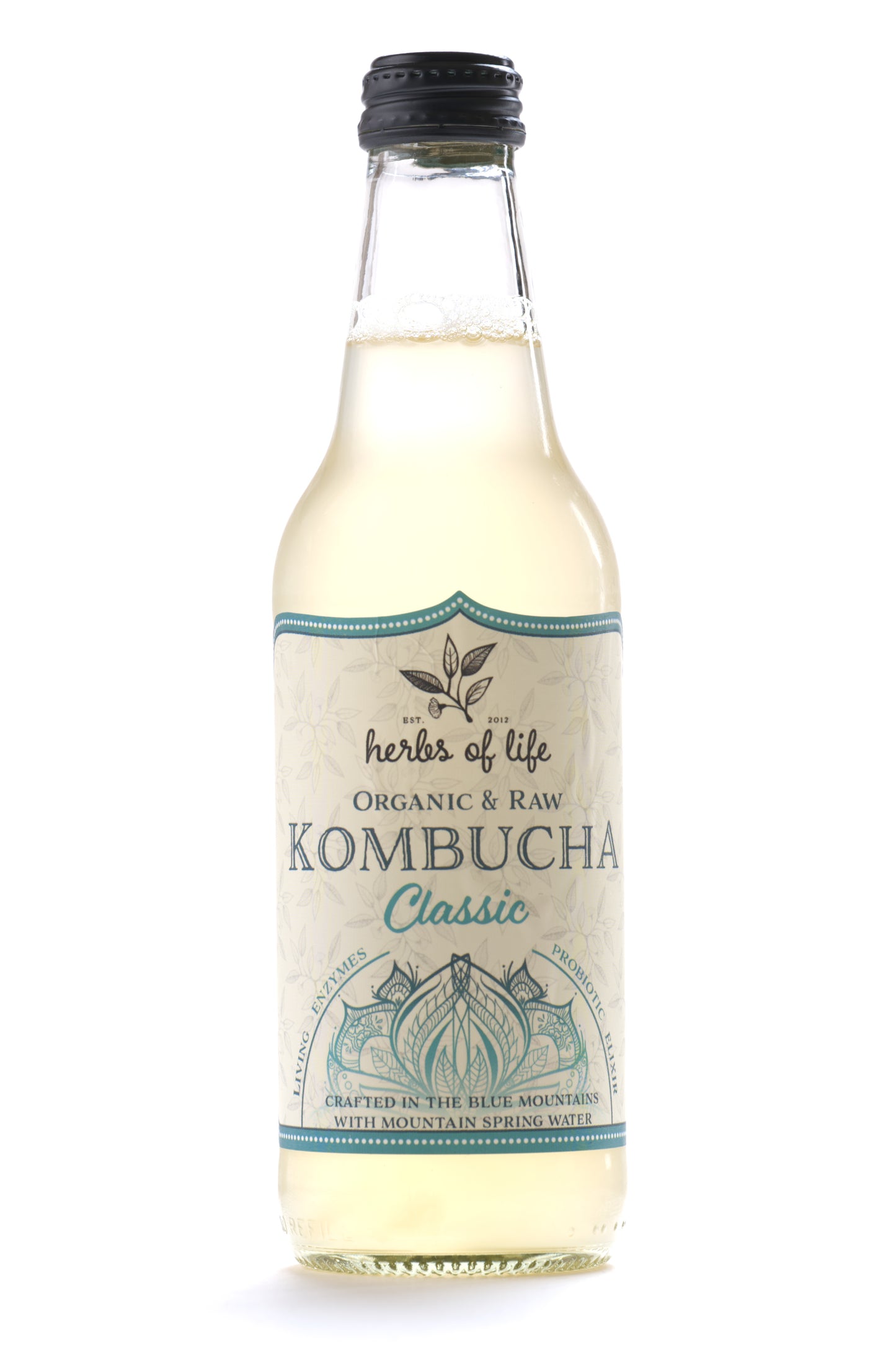 Herbs of Life Organic & Raw Kombucha - Classic