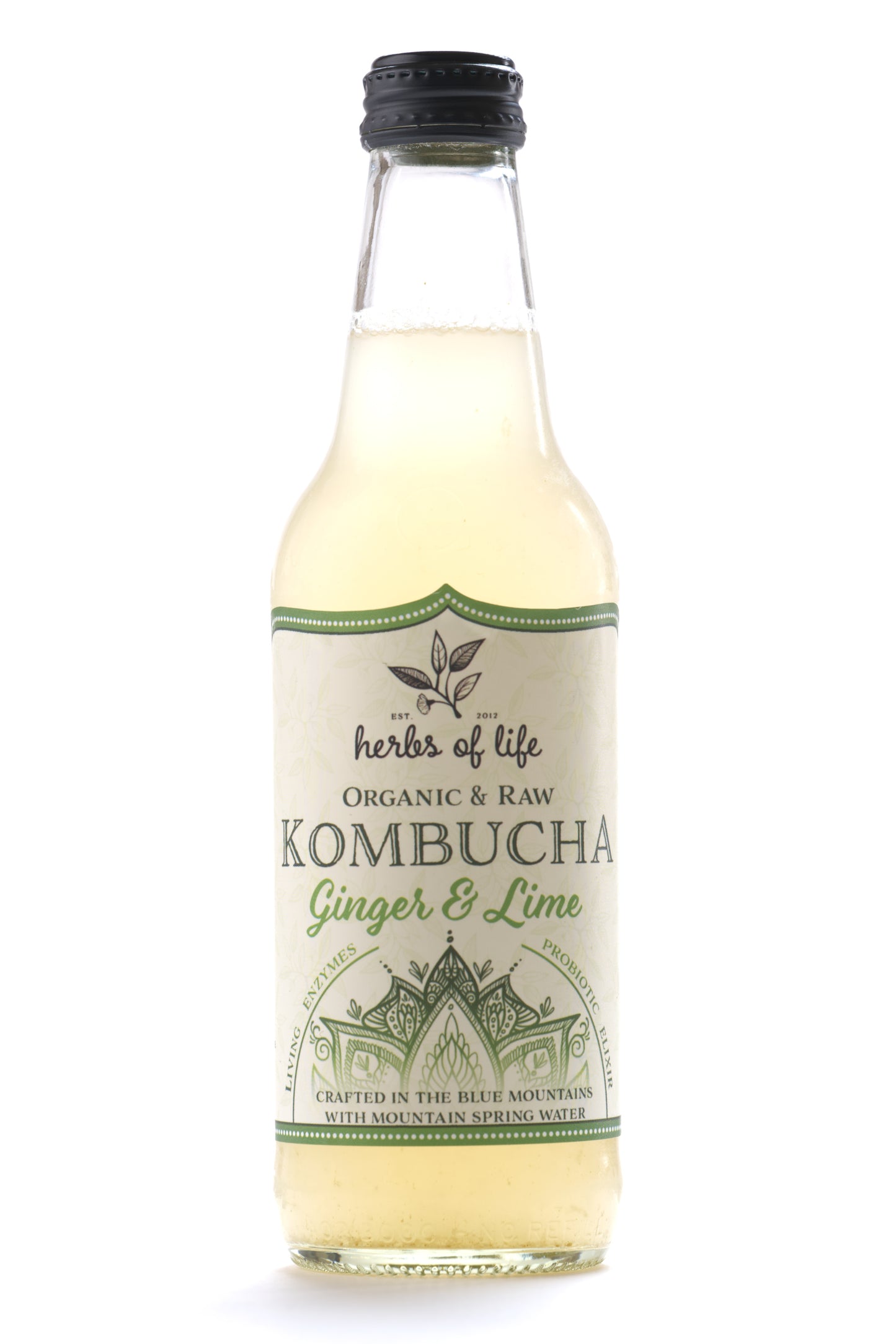 Herbs of Life Organic & Raw Kombucha - Mixed Carton