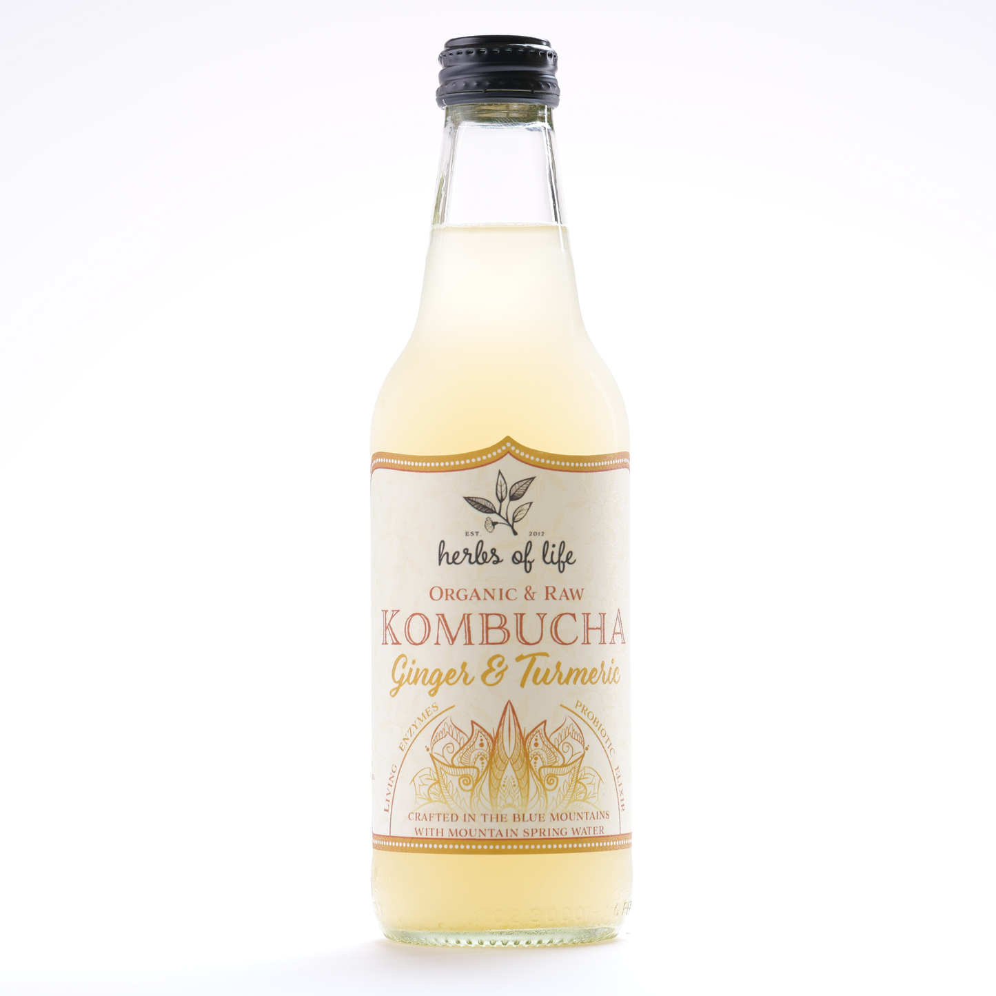 Herbs of Life Organic & Raw Kombucha - Mixed Carton