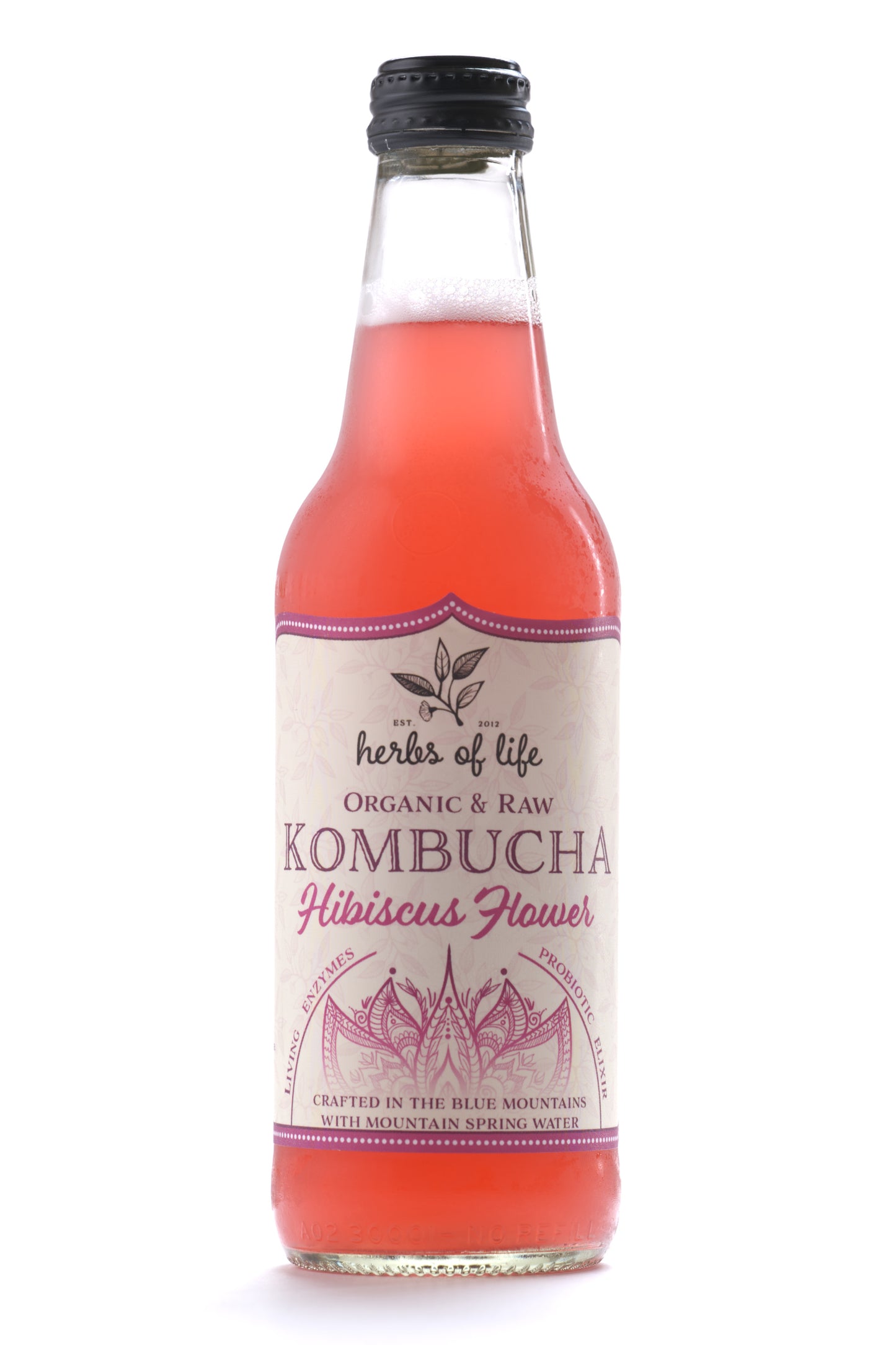 Herbs of Life Organic & Raw Kombucha - Mixed Carton